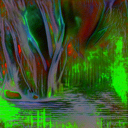GIF 5